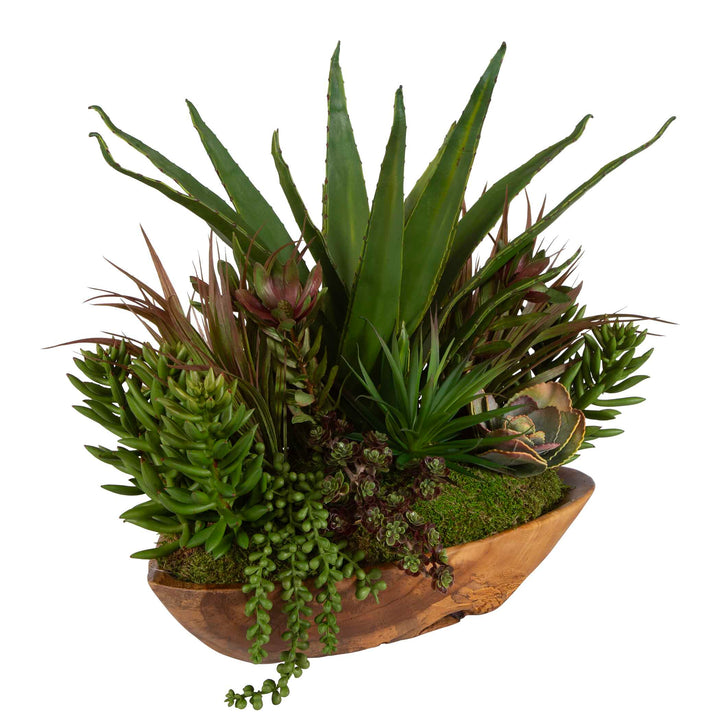 American Home Furniture Uttermost Salar Succulents In Teak Bowl