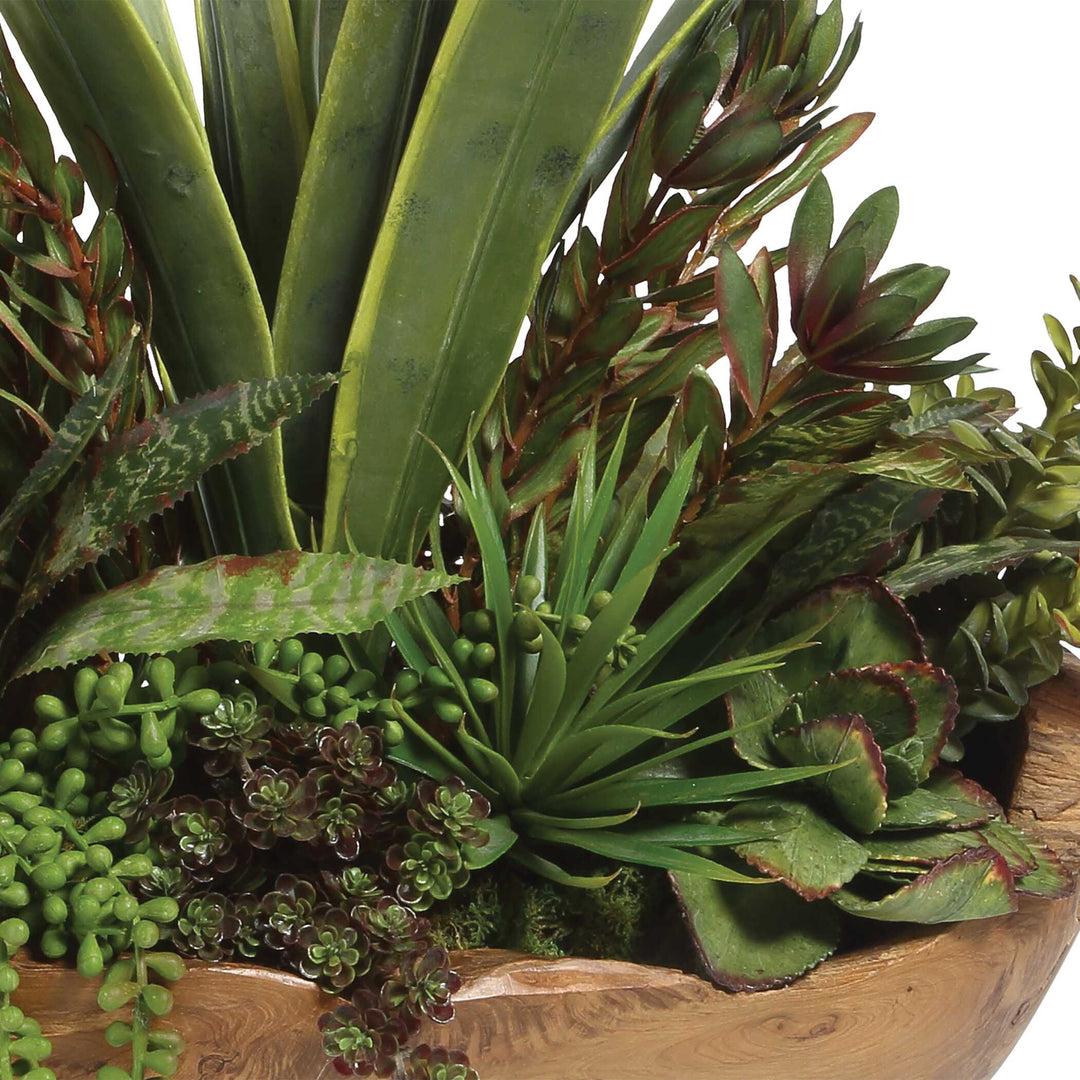 American Home Furniture Uttermost Salar Succulents In Teak Bowl