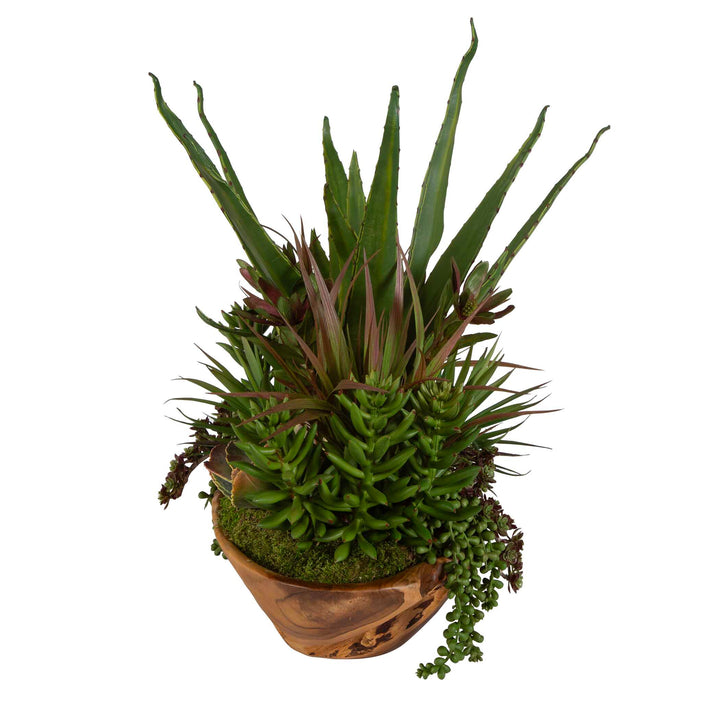 American Home Furniture Uttermost Salar Succulents In Teak Bowl