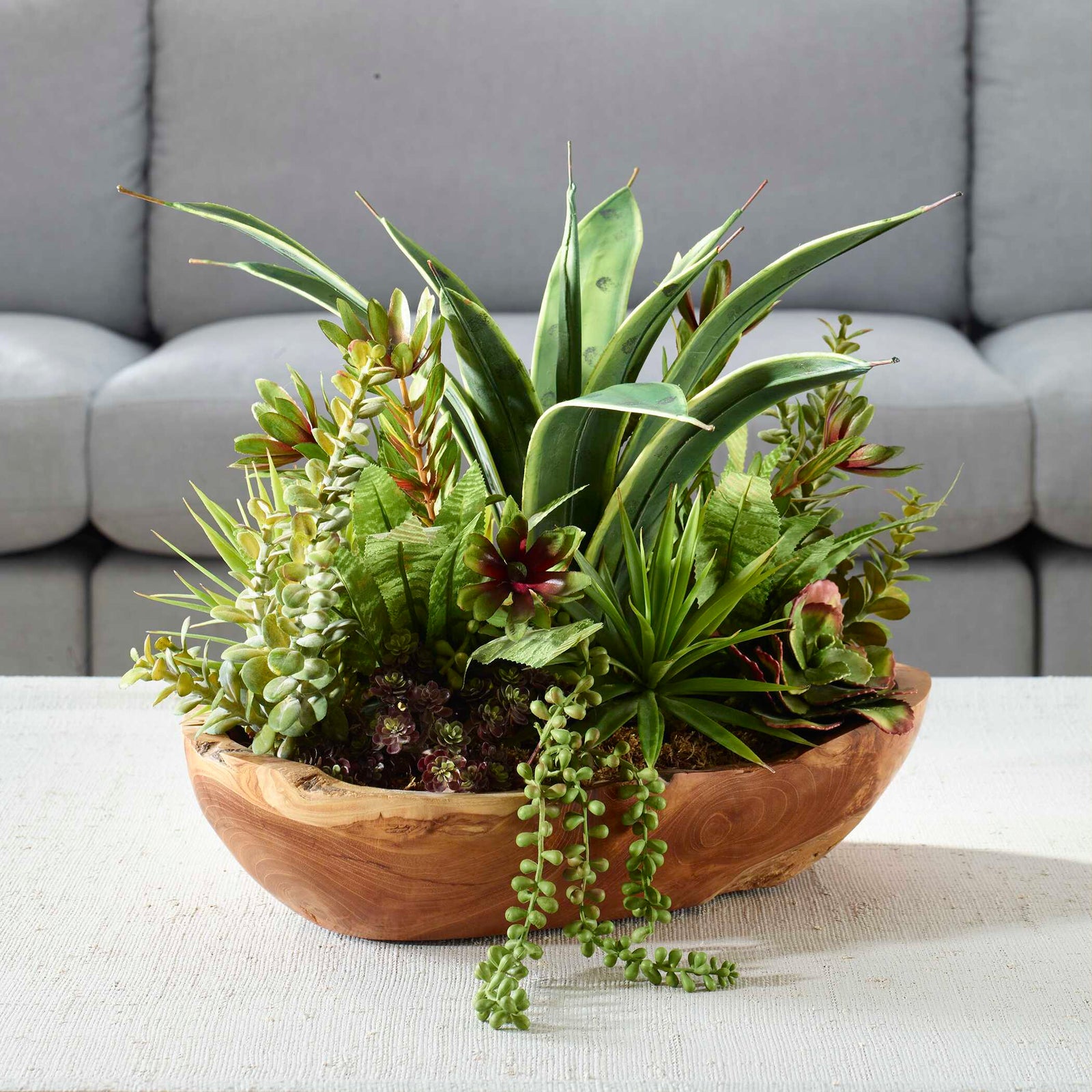 American Home Furniture Uttermost Salar Succulents In Teak Bowl