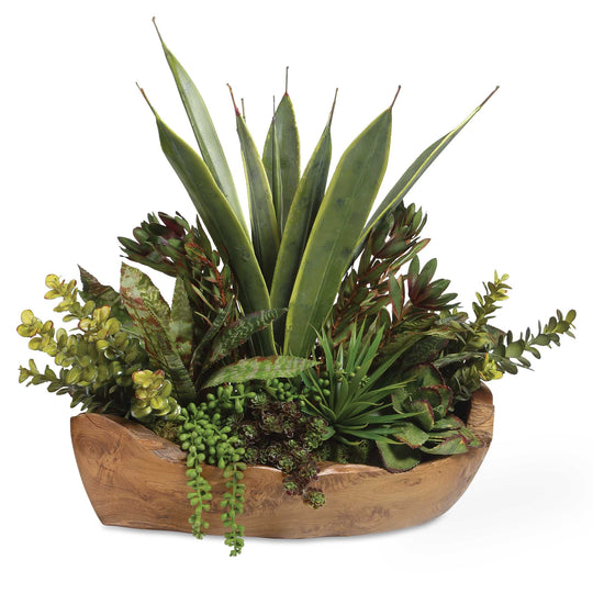 American Home Furniture Uttermost Salar Succulents In Teak Bowl