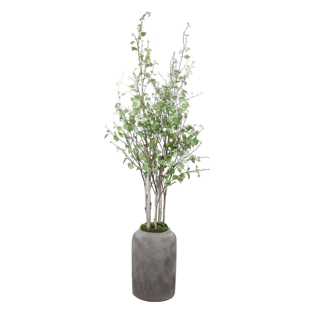 American Home Furniture Uttermost Aldis Potted River Birch
