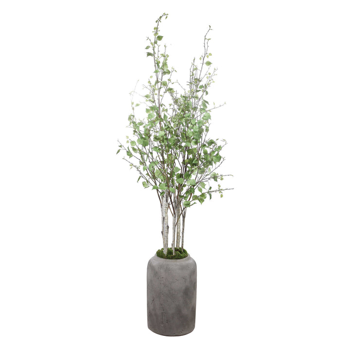 American Home Furniture Uttermost Aldis Potted River Birch