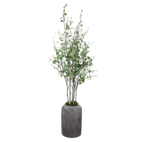 American Home Furniture Uttermost Aldis Potted River Birch