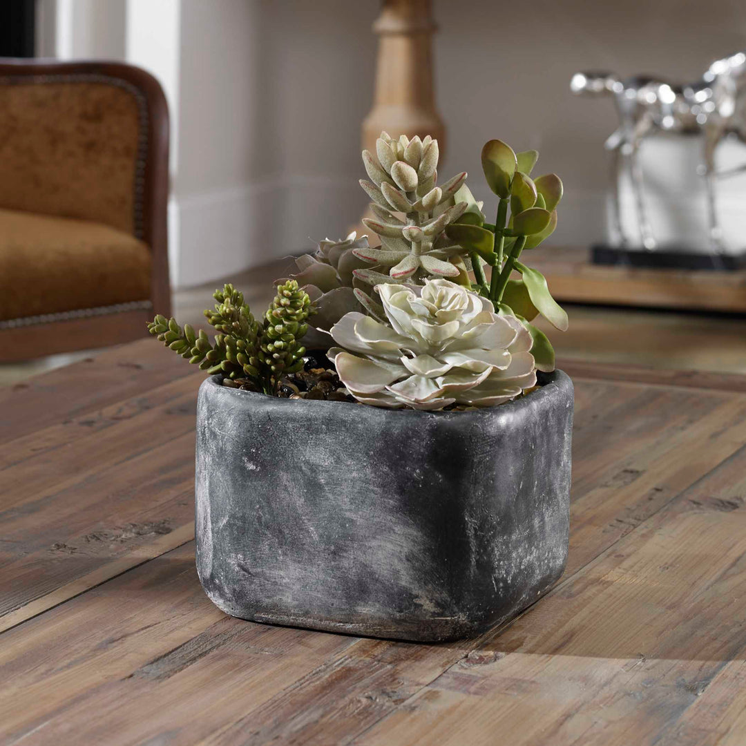 American Home Furniture Uttermost Alverio Desert Garden Succulents