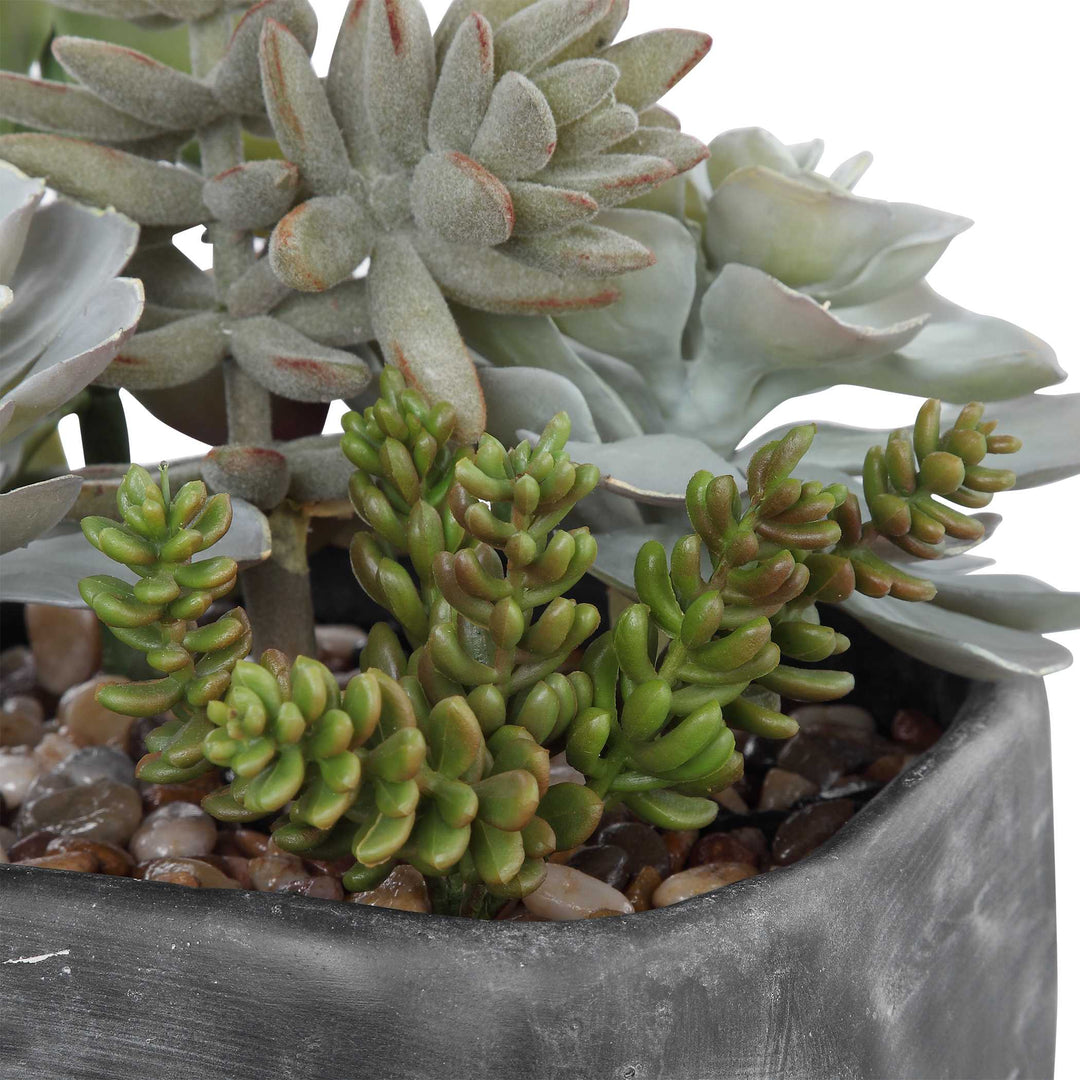 American Home Furniture Uttermost Alverio Desert Garden Succulents