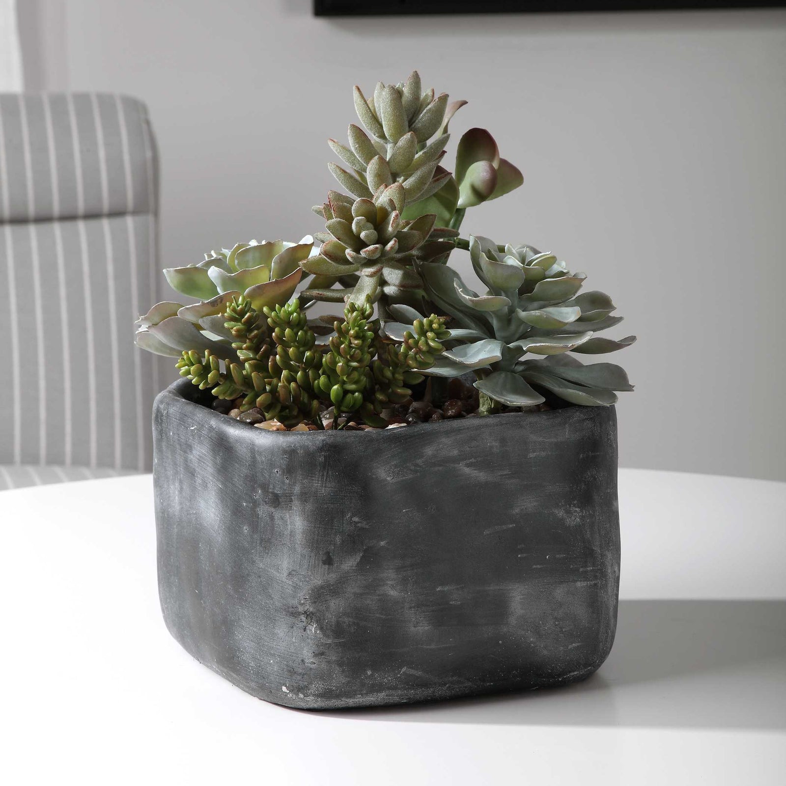 American Home Furniture Uttermost Alverio Desert Garden Succulents