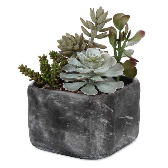 American Home Furniture Uttermost Alverio Desert Garden Succulents