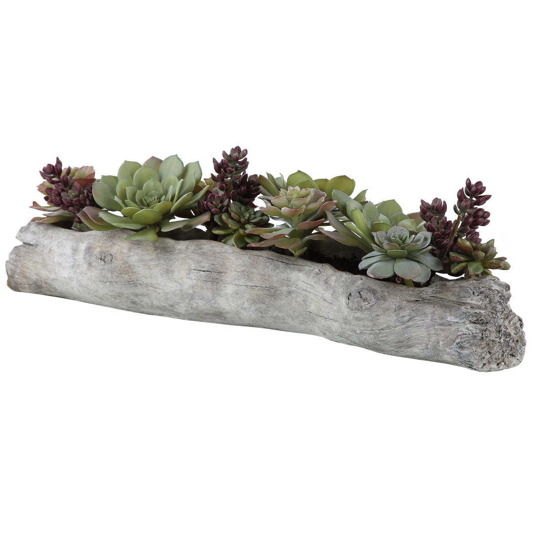 American Home Furniture Uttermost Charita Lush Succulents