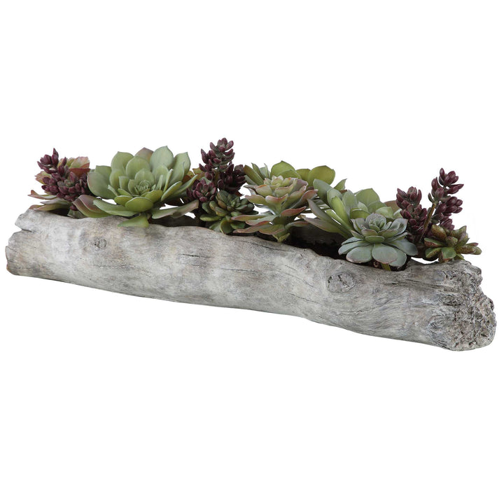American Home Furniture Uttermost Charita Lush Succulents
