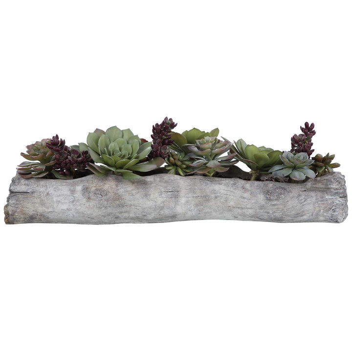 American Home Furniture Uttermost Charita Lush Succulents