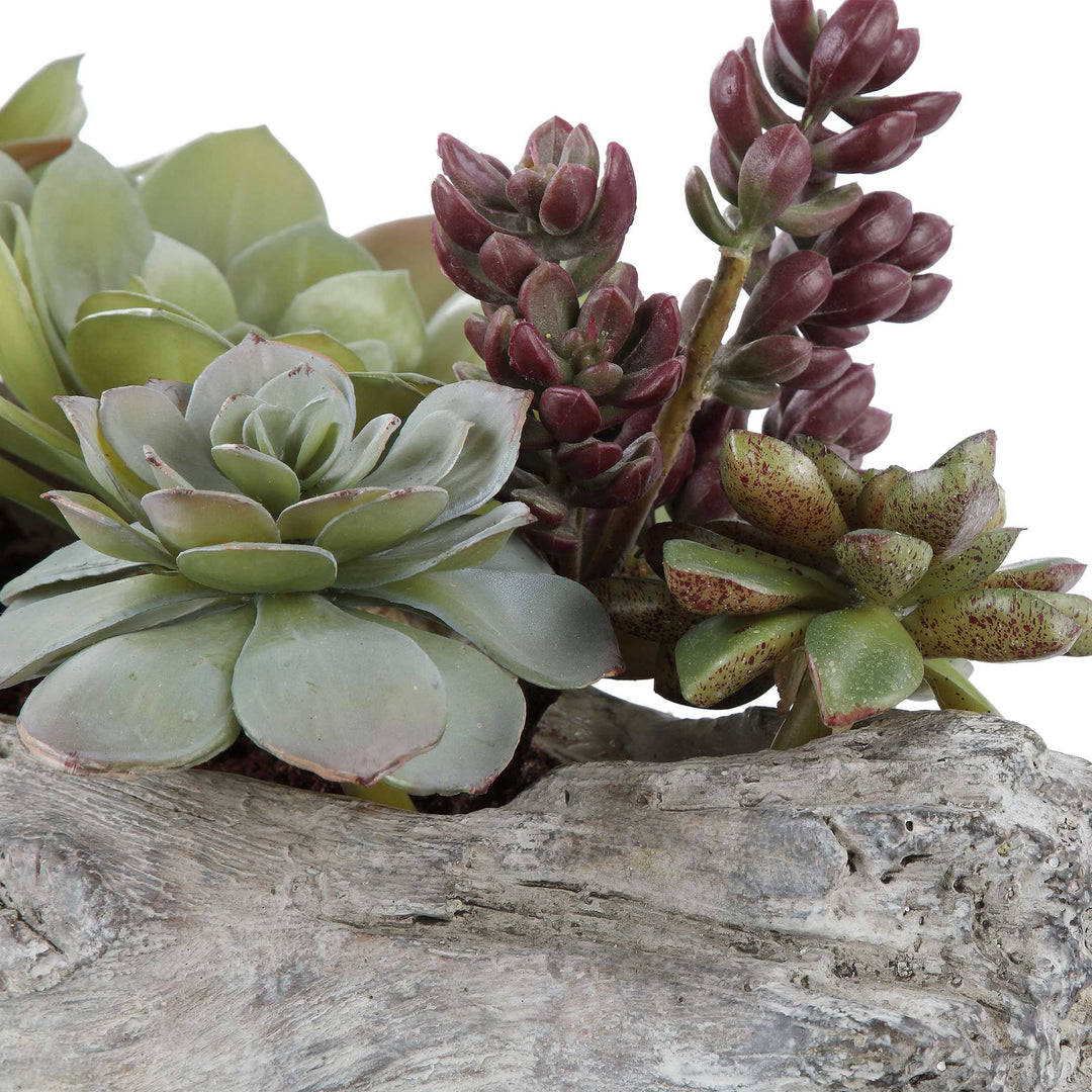 American Home Furniture Uttermost Charita Lush Succulents