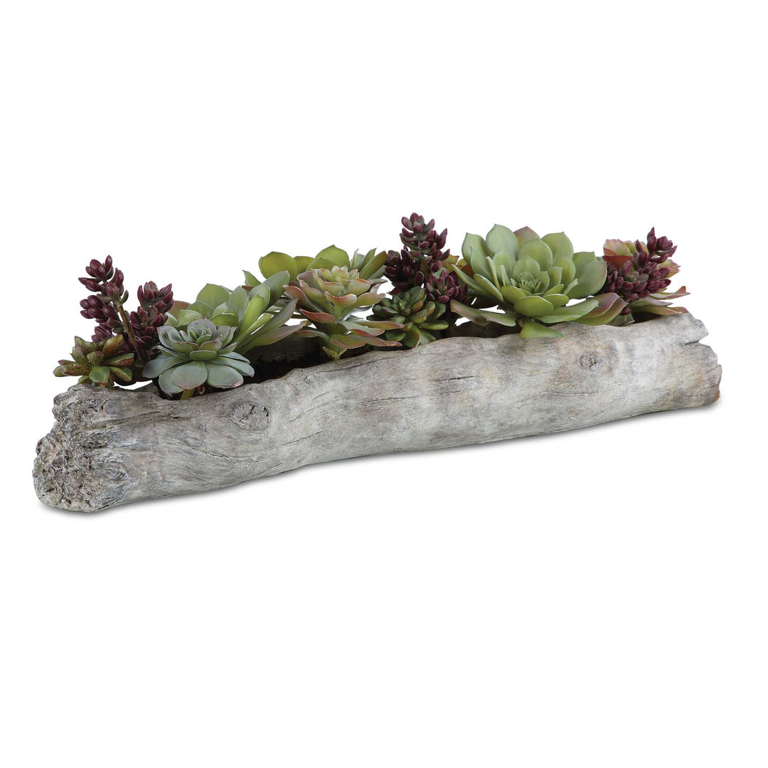 American Home Furniture Uttermost Charita Lush Succulents