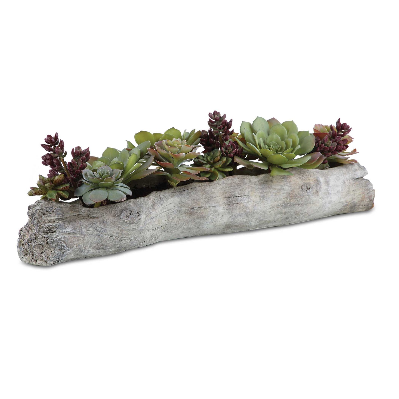 American Home Furniture Uttermost Charita Lush Succulents