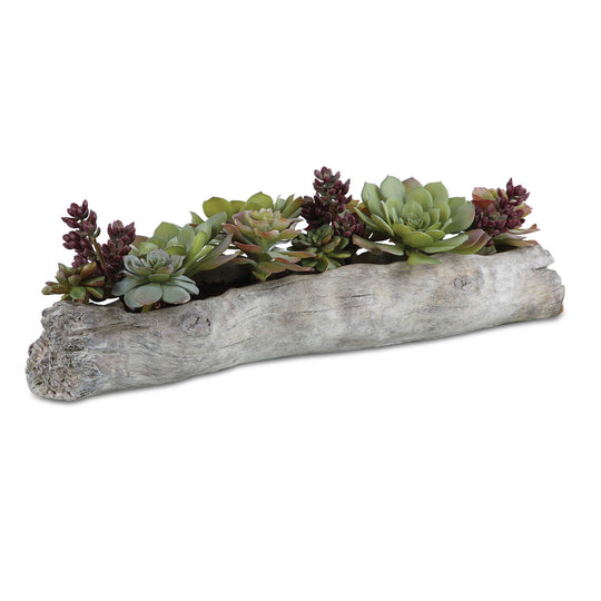American Home Furniture Uttermost Charita Lush Succulents