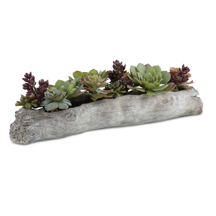 American Home Furniture Uttermost Charita Lush Succulents