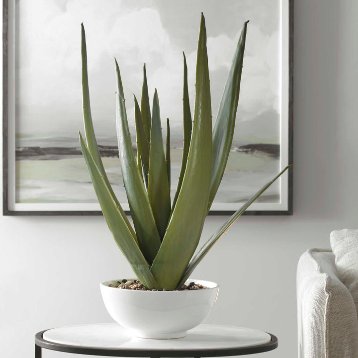 American Home Furniture Uttermost Evarado Aloe Planter
