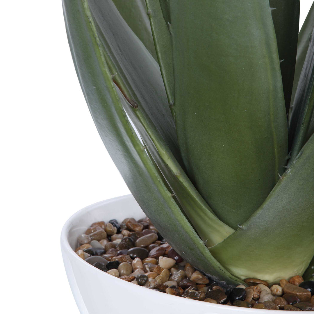 American Home Furniture Uttermost Evarado Aloe Planter