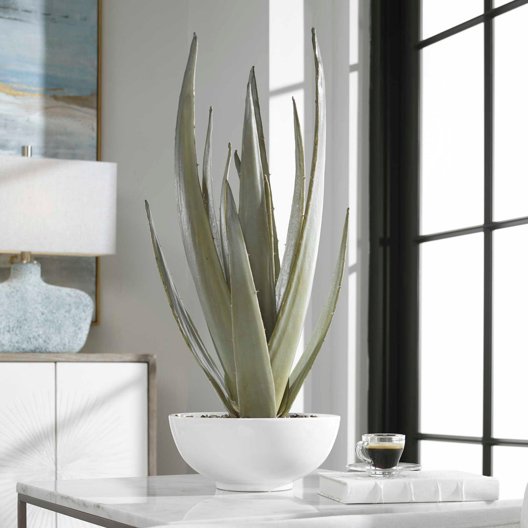 American Home Furniture Uttermost Evarado Aloe Planter