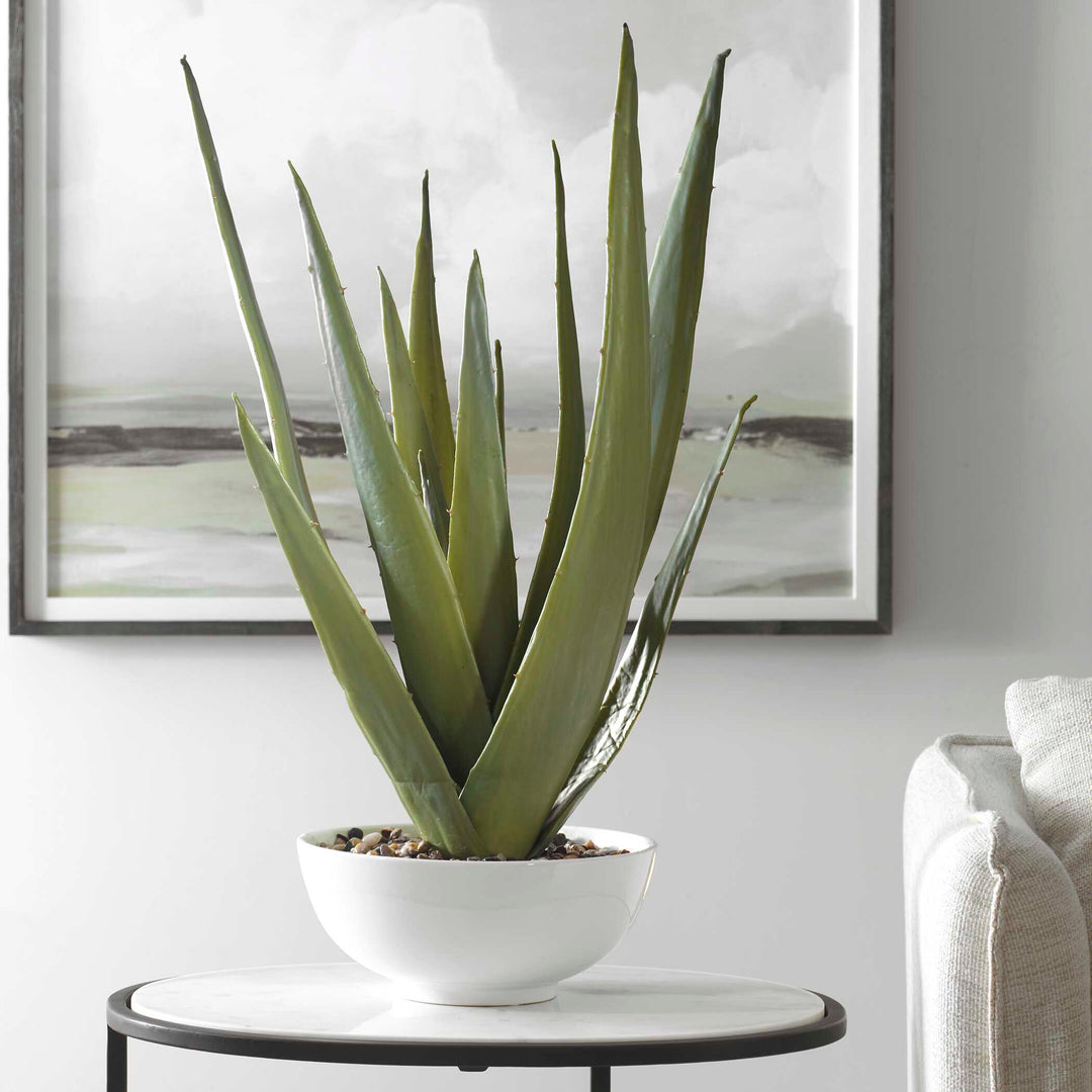 American Home Furniture Uttermost Evarado Aloe Planter