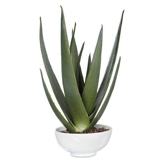 American Home Furniture Uttermost Evarado Aloe Planter