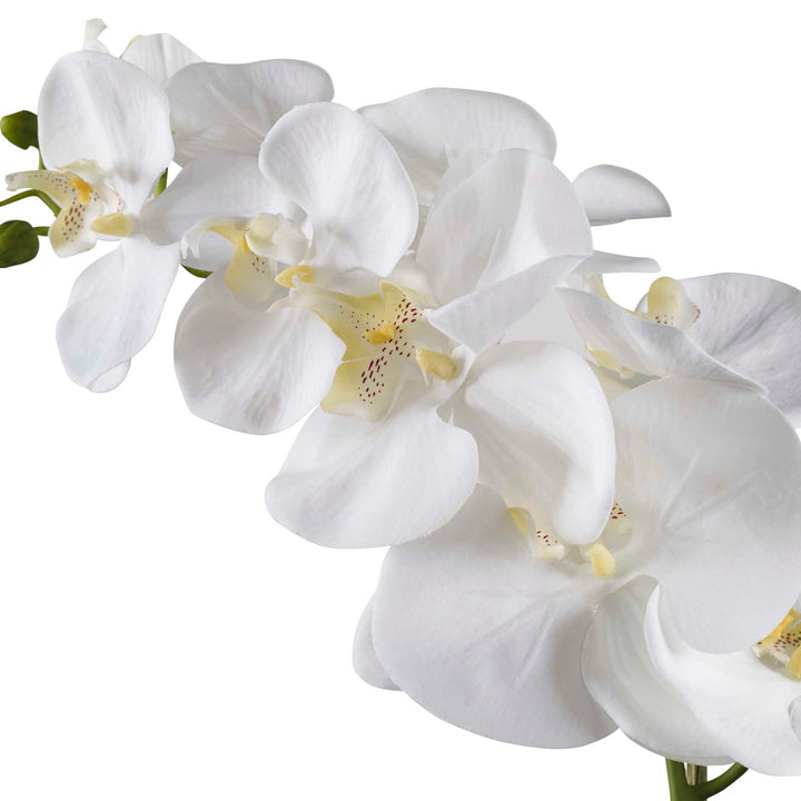 American Home Furniture Uttermost Cami White Orchid