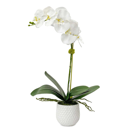 American Home Furniture Uttermost Cami White Orchid