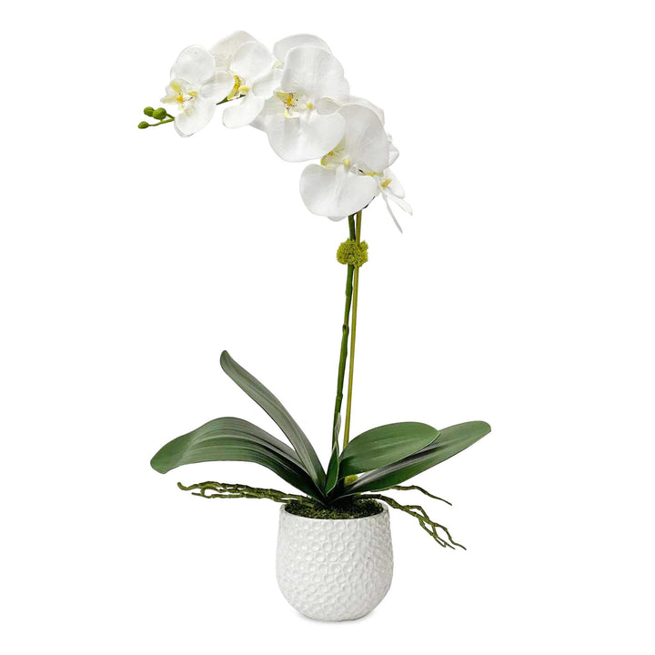 American Home Furniture Uttermost Cami White Orchid