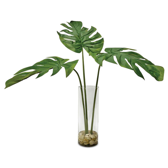 American Home Furniture Uttermost Ibero Split Leaf Palm