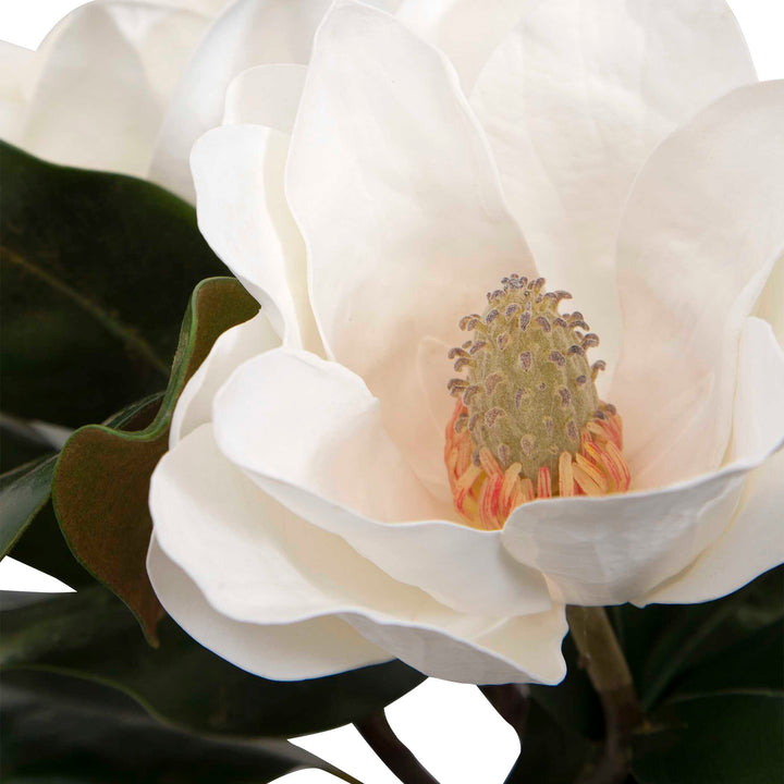 American Home Furniture Uttermost Middleton Magnolia Flower Centerpiece