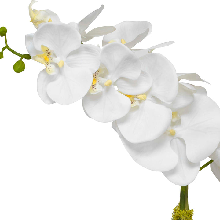 American Home Furniture Uttermost Cami Orchid with Brass Pot