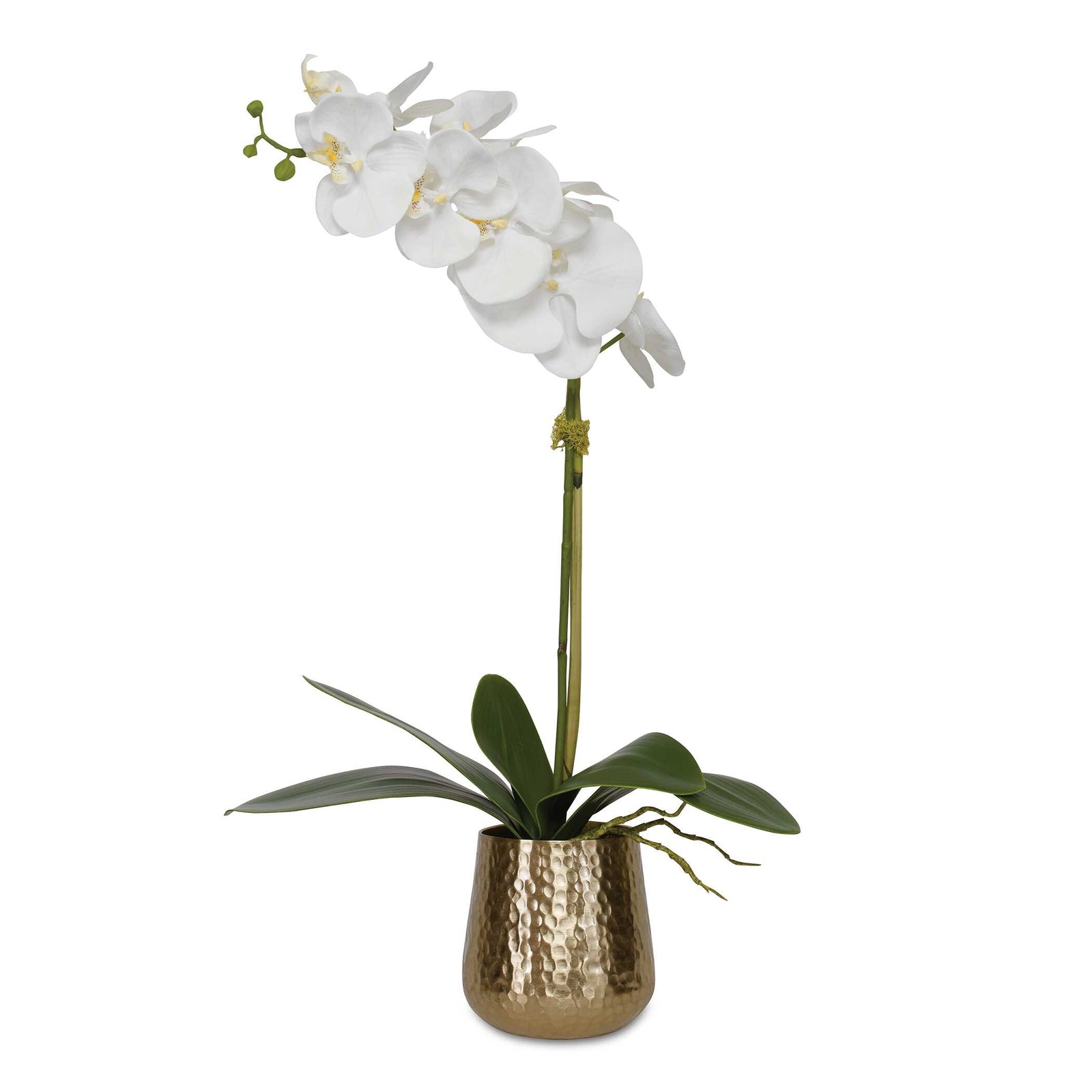 American Home Furniture Uttermost Cami Orchid with Brass Pot