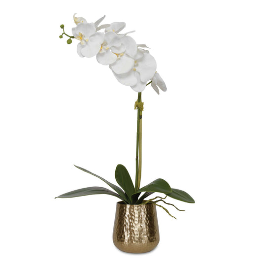 American Home Furniture Uttermost Cami Orchid with Brass Pot
