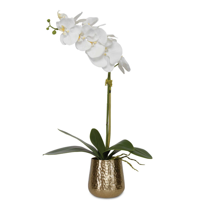 American Home Furniture Uttermost Cami Orchid with Brass Pot