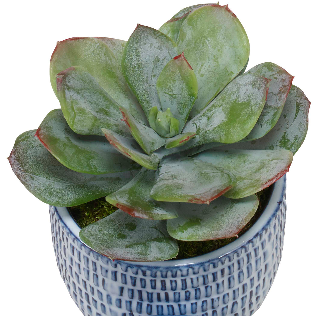 American Home Furniture Uttermost Puebla Greenery in Blue & White Pots, Set of 3