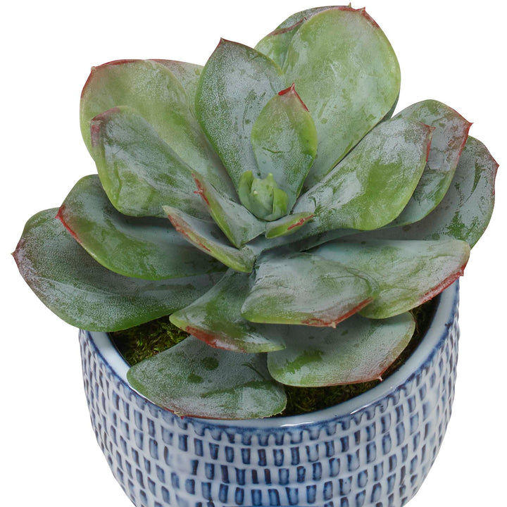American Home Furniture Uttermost Puebla Greenery in Blue & White Pots, Set of 3