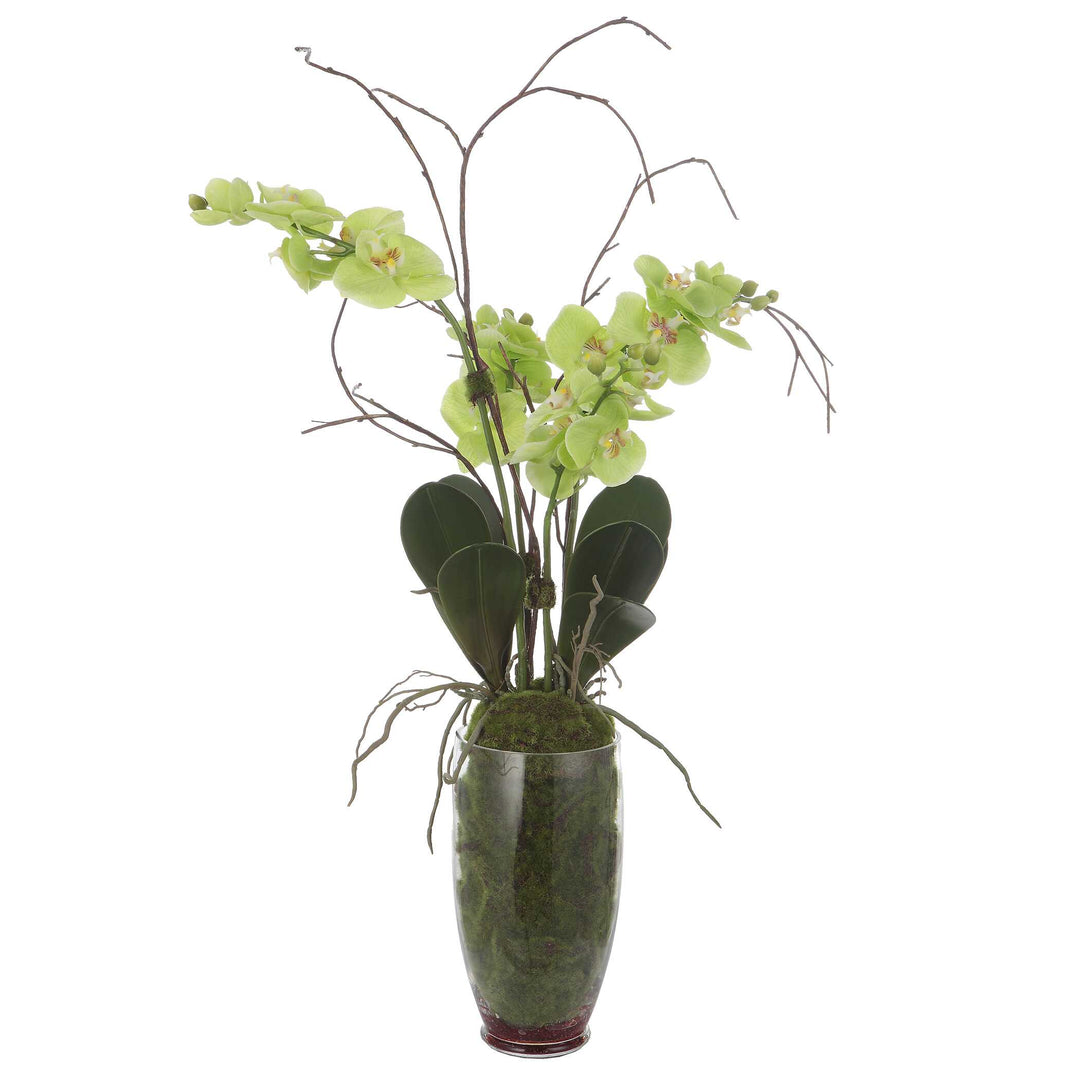 American Home Furniture Uttermost Valdive Orchid