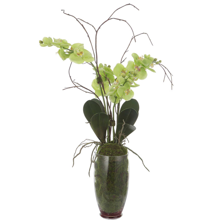 American Home Furniture Uttermost Valdive Orchid