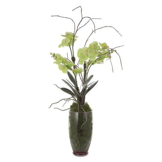 American Home Furniture Uttermost Valdive Orchid
