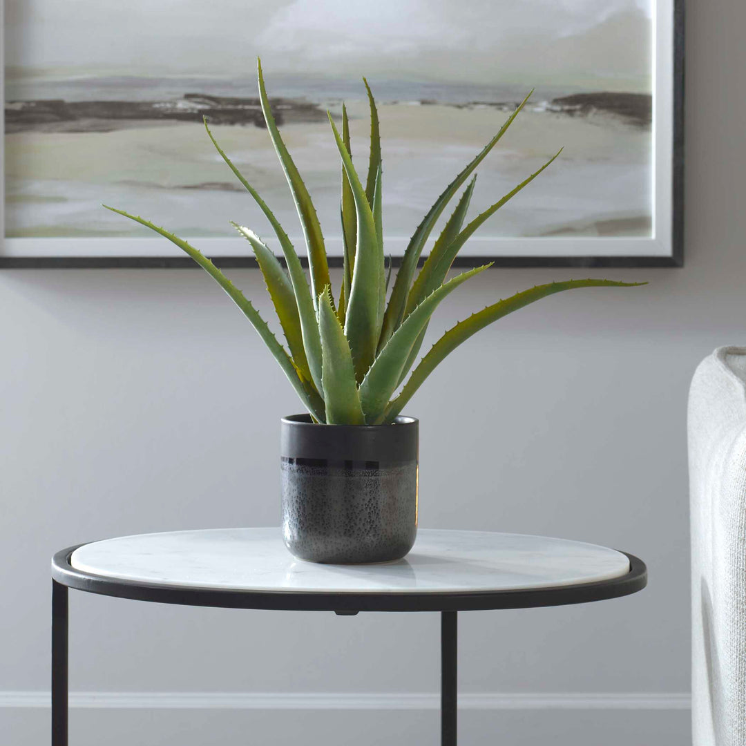 American Home Furniture Uttermost Tucson Aloe Planter