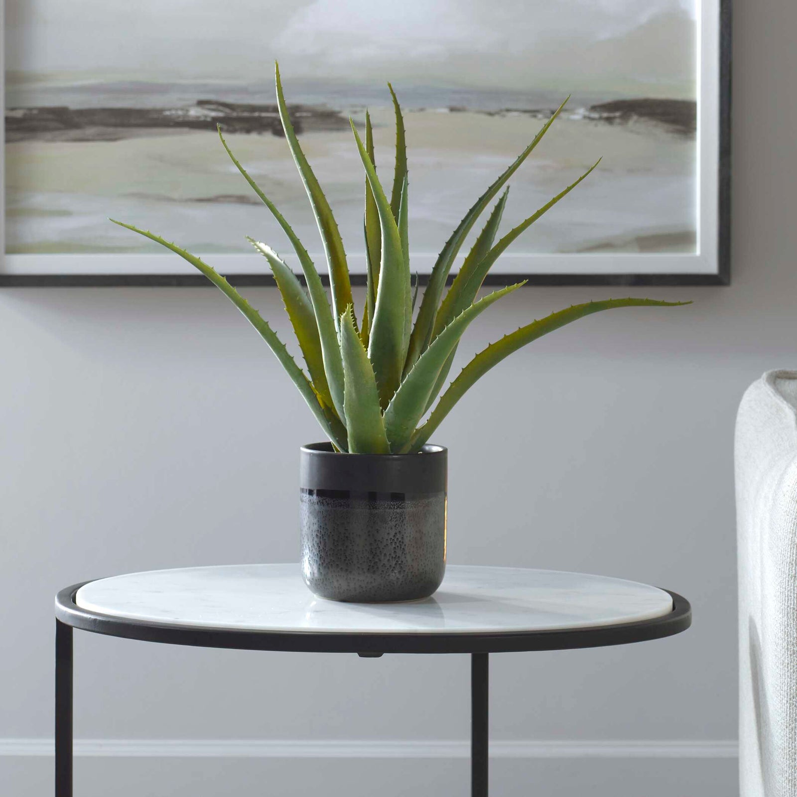 American Home Furniture Uttermost Tucson Aloe Planter