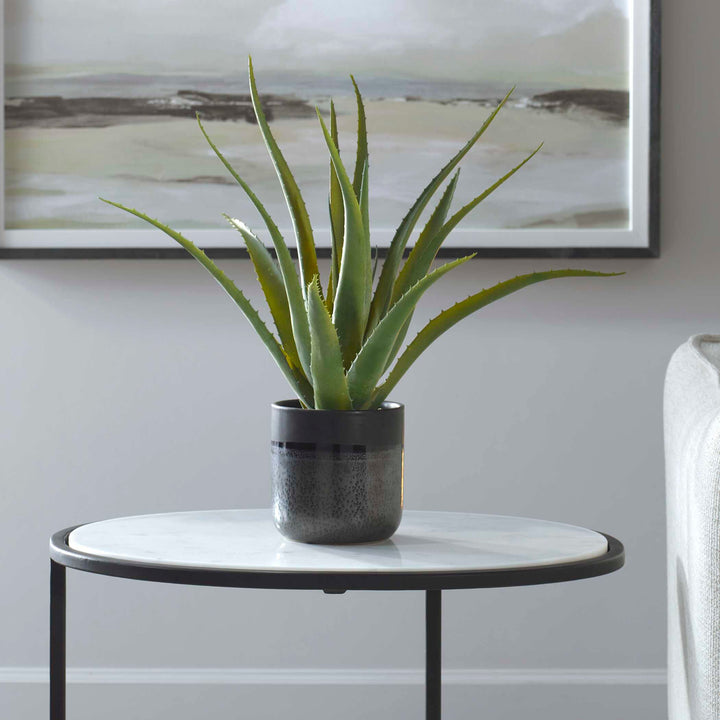 American Home Furniture Uttermost Tucson Aloe Planter