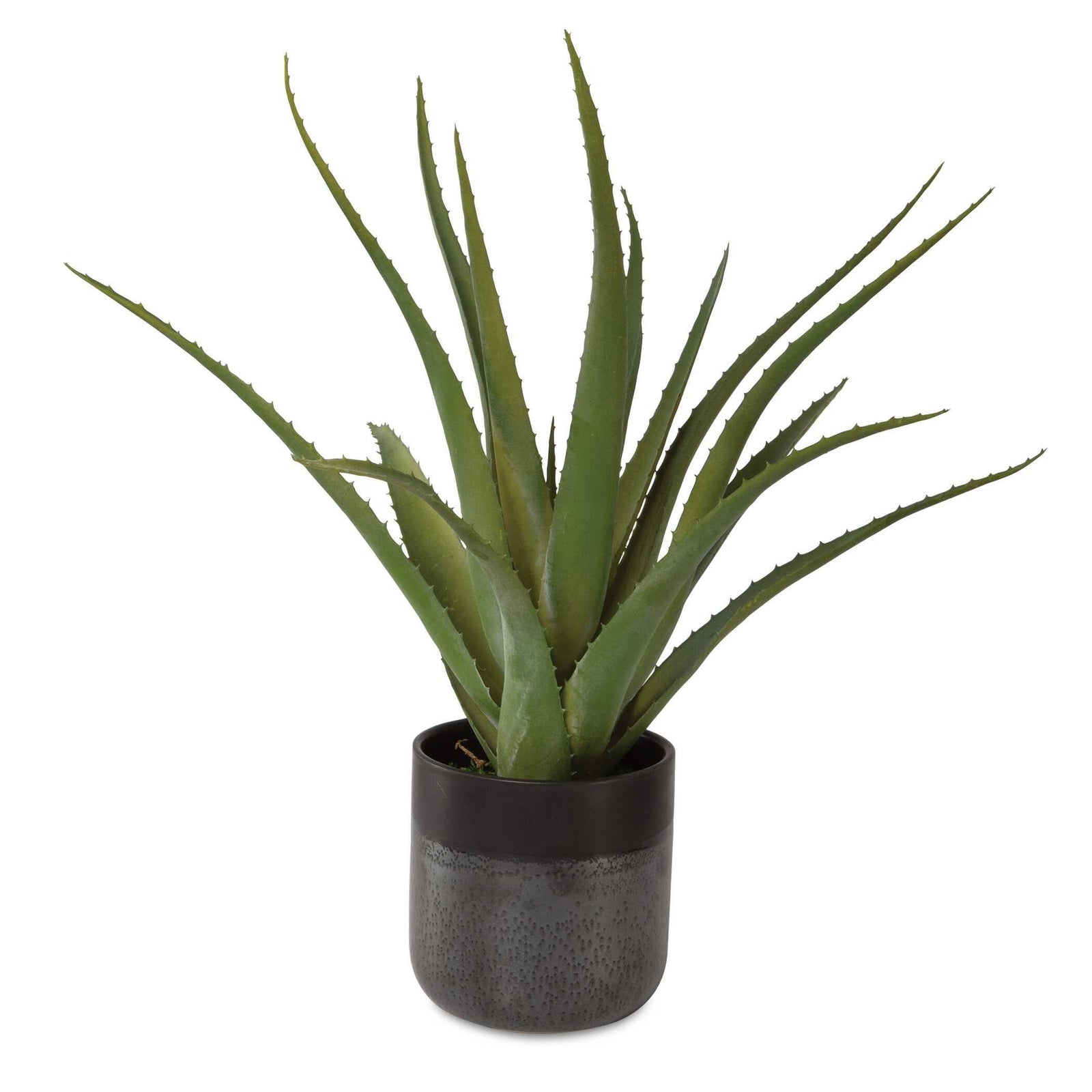 Uttermost Tucson Aloe Planter FAUX PLANTS + FLORALS