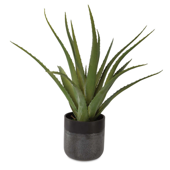 American Home Furniture Uttermost Tucson Aloe Planter