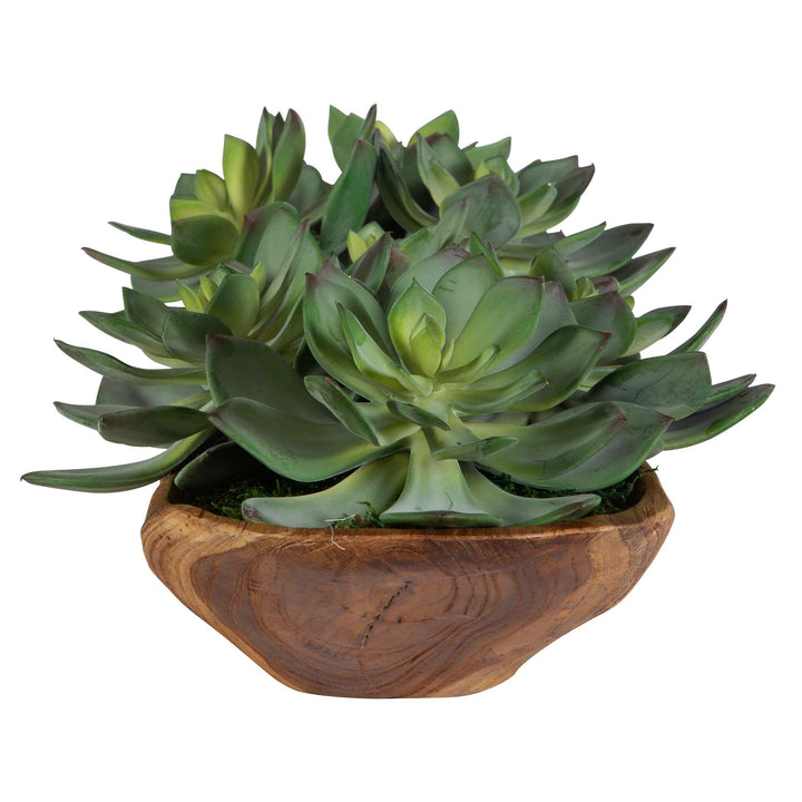 American Home Furniture Uttermost Yuma Succulent Centerpiece Small