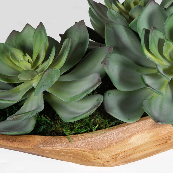 American Home Furniture Uttermost Yuma Succulent Centerpiece Small