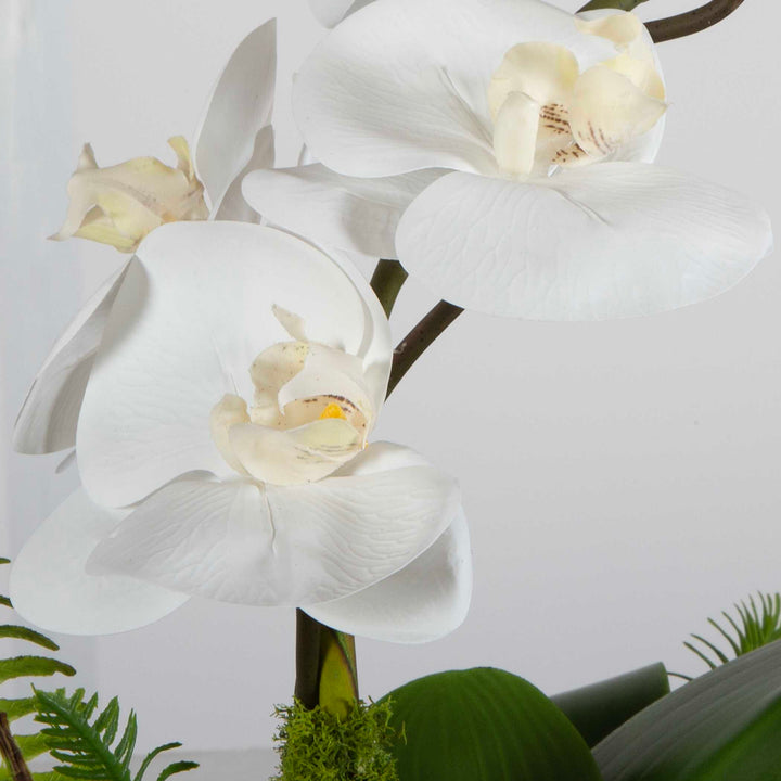 American Home Furniture Uttermost Transcend Orchid Centerpiece