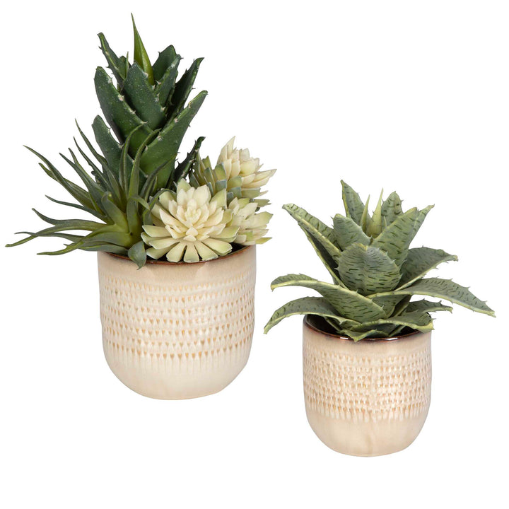 American Home Furniture Uttermost Seaside Succulents Set of 2