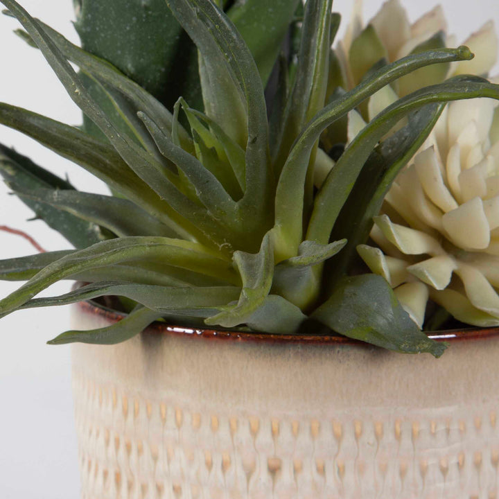 American Home Furniture Uttermost Seaside Succulents Set of 2