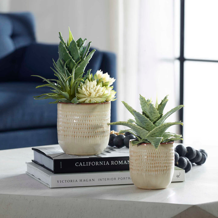 American Home Furniture Uttermost Seaside Succulents Set of 2